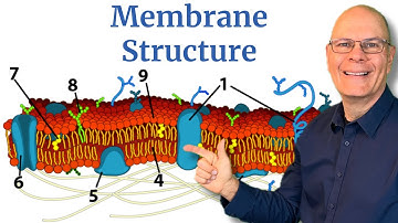Cell Membrane Structure Explained for AP Bio in 5 Minutes