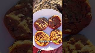 Ultimate Guide to Making Smores While Camping using UCO Roasting Forks