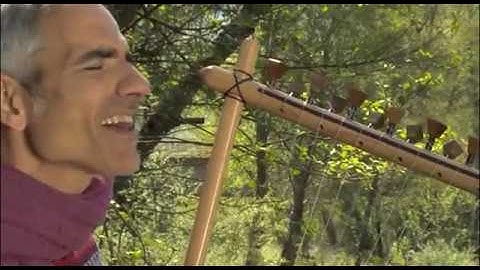 Thanasis Kleopas-Stis pikrodafnis ton antho