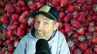 How Late Can You Plant Strawberries + Is Your Soil Too Wet to Work?
