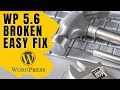 WordPress 5.6 Break Your Website ? (Here's An Easy Fix)