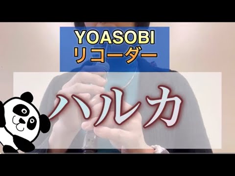 ハルカ（YOASOBI）🌟リコーダー🌟