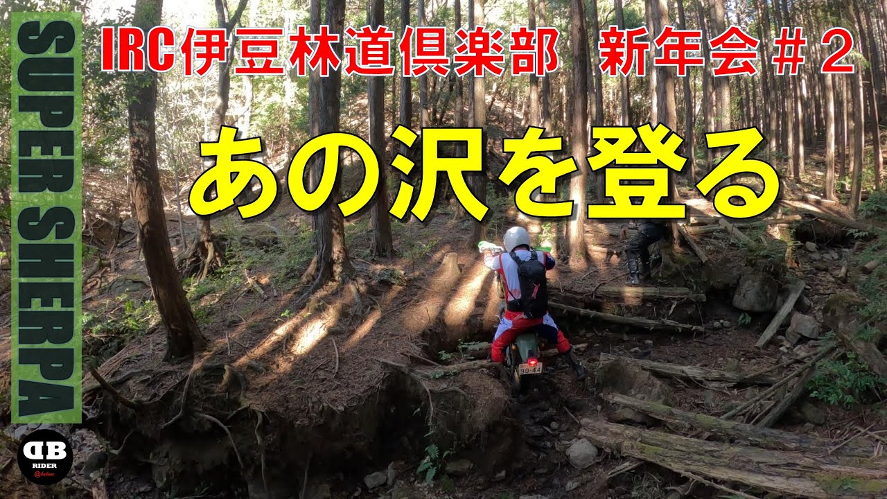 IRC伊豆林道倶楽部 新年走行会＃２ あの沢を登る2026.1.11【モトブログ／スーパーシェルパ】