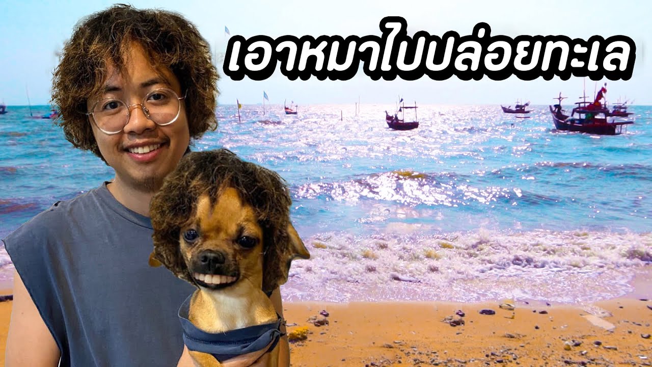 เอาหมาไปปล่อยทะเล