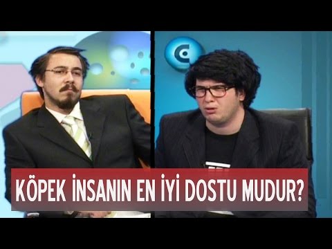 Video: Köpek Insanın Dostudur