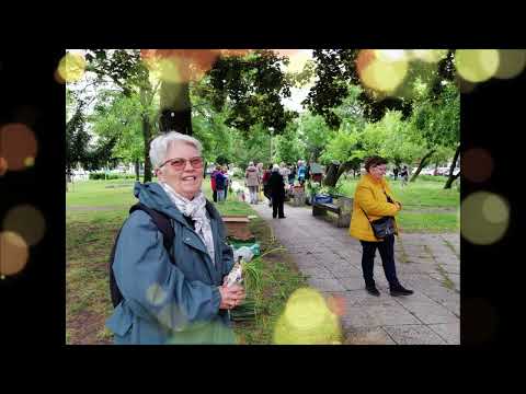 10. Balkonada találkozó és növénycsere