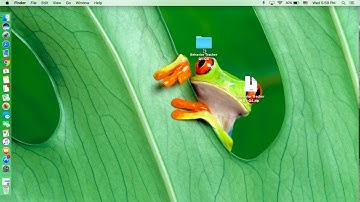 Behavior tracker video