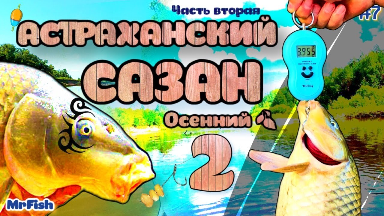 РЫБАЛКА АСТРАХАНЬ . АХТУБА РАДУЕТ САЗАНЫ И КАРАСИ НА ДОНКУ. БЕШЕНЫЙ КЛЕВ. ОТДЫХ НА ПРИРОДЕ СЕМЬЕЙ