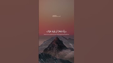 قَالَ لَا تَخَافَآۖ | ما تيسرَ من سورة طه بصوت القارئ شريف مصطفى | أرح سمعك