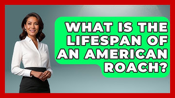 What Is The Lifespan Of An American Roach? - Insects and Invaders