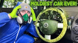Deep Cleaning The MOLDIEST Beetle EVER! BIOHAZARD First Detail In YEARS | Car Detailing Restoration