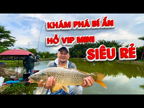 Hồ VIP Mini Đông Phương Sẽ Như Thế Nào? Kỹ Thuật Câu Đài 