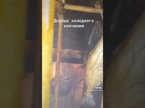 Холодное копчение Дорадо