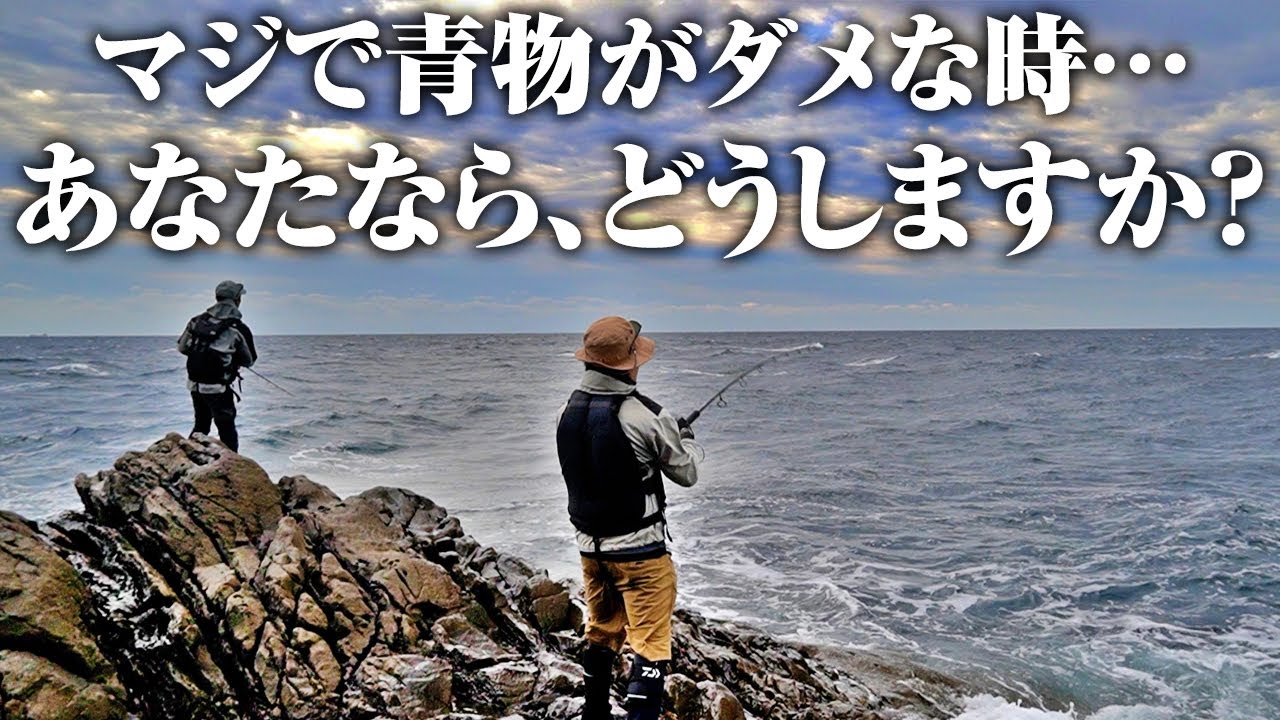 全国で青物を釣り歩いた男の一手で大逆転。正直詰んだかと思ってました…