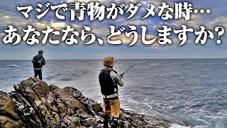 全国で青物を釣り歩いた男の一手で大逆転。正直詰んだかと思ってました…