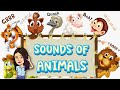 Sounds of animals  science  teacher beth class tv
