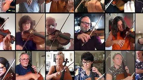 NES Chamber Orchestra - Bukovina Prelude no.4