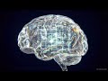 The Ontological Inversion: Reality's Rendering Engine