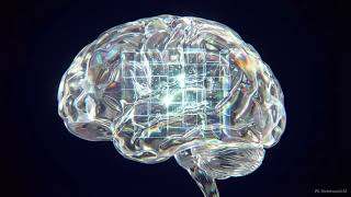 The Ontological Inversion  Reality s Rendering Engine