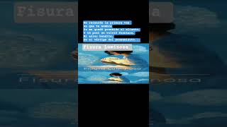 Fisura y luz | error bendito• 1er minuto #folkrockontológico #αυτοφαγία #antígona