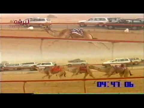 بركان ل معجب غانم المطوع الخيارين سباق ولي العهد 21 2 2007 البندقية الفضية لقايا قعدان 7 39 18