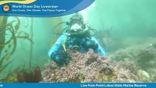 Live from UNDERWATER IN A KELP FOREST for World Ocean Day with California State Parks!