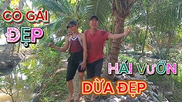 Nay Quốc dừa hái vườn dừa xiêm đẹp cùng cô gái xinh đẹp #quocduavlog 