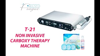 Noninvasive Carboxy Therapy Machine T-21. Beauty Equipment By Alvi Prague