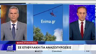 Οριοθετήθηκε η πυρκαγιά που ξέσπασε χθες το μεσημέρι στην Εύβοια