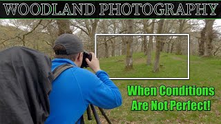 Woodland Photography TIPS for Less Than Ideal Conditions