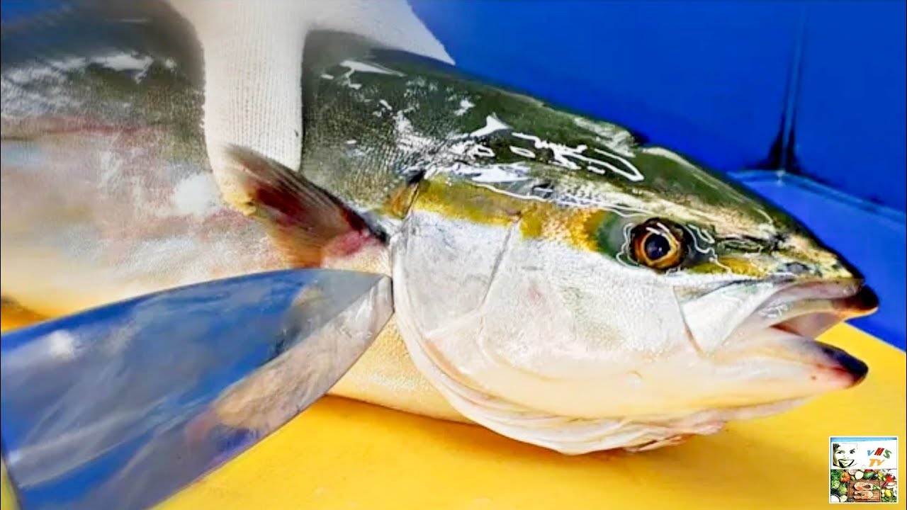 ИНТЕРЕСНАЯ Резка Рыбы ЖЕЛТОХВОСТ и Приготовление САШИМИ / YELLOWTAIL Sashimi | КОРЕЙСКАЯ Кухня