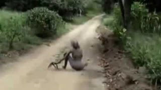 5 ПОТУСТОРОННИХ СУЩЕСТВ СНЯТЫХ НА ВИДЕО 5 ПОТУСТОРОННИХ СУЩЕСТВ СНЯТЫХ НА ВИДЕО