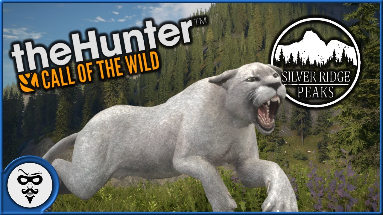Turkey Hunt Turns Mountain Lion Hunt Silver Ridge Peaks theHunter