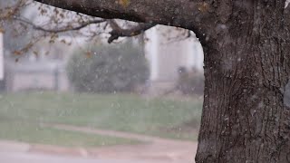 April Snow Facts Content