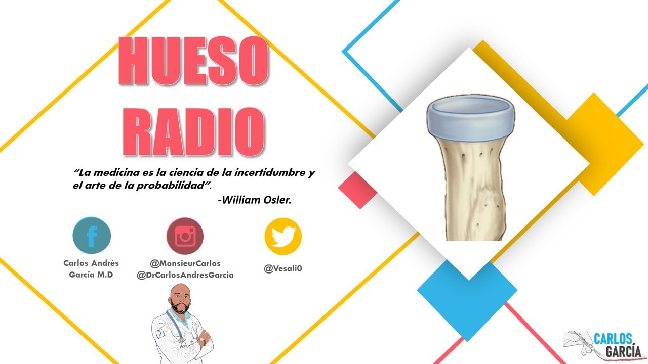 Anatomía - Hueso Radio (Caras, Bordes, Extremos, Inserciones)