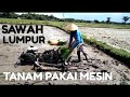 Sawah Lumpur Tanam Pakai Alat Tanam Padi Pertanian Ala Jepang