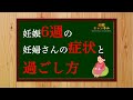 【妊娠6週】妊娠6週って？妊婦さんの症状と過ごし方についてご紹介