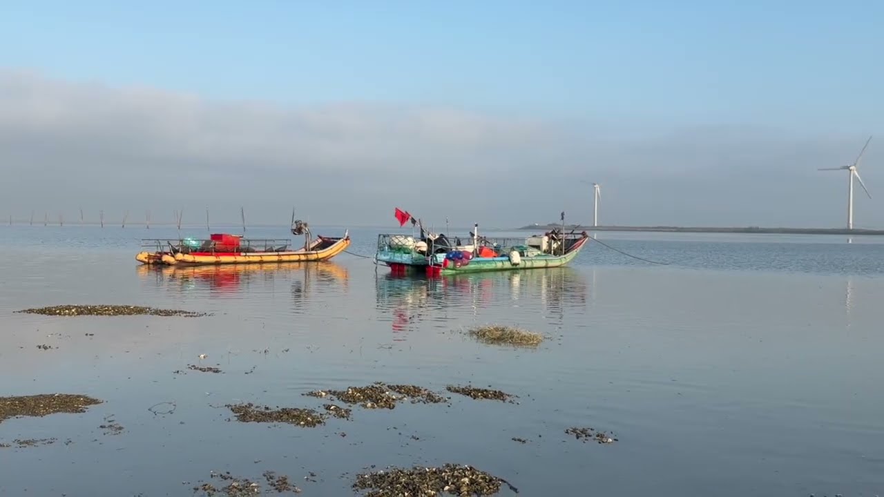Hiking Trail - Bird Watching - Fangyuan, Taiwan Shoreline -1  | 2/13/2026