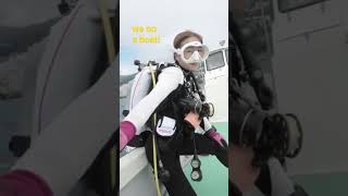Do This Scuba Diving Atami Izu Peninsula Japan