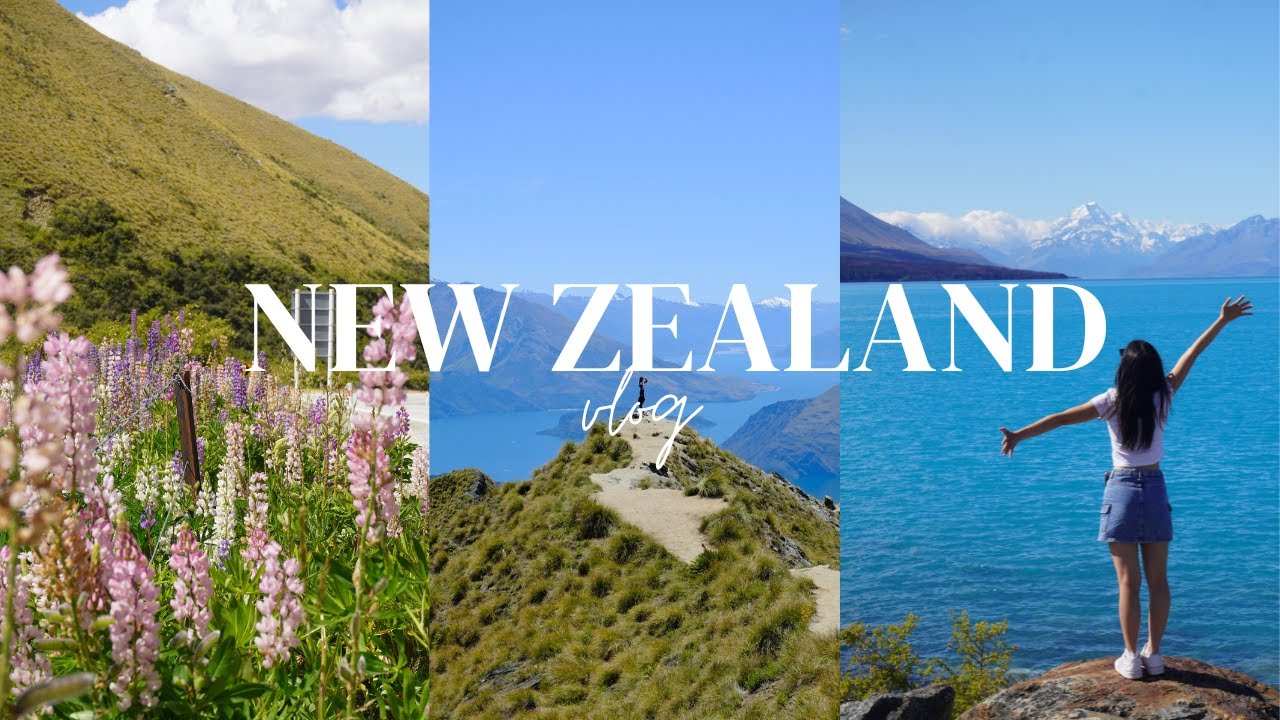New Zealand vlog | 13 days on South Island, Dunedin, Queenstown, Lake Tekapo, Roys Peak, Mt. Cook 🐑