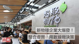 數位大浪下，企業只有10％得以倖存！新物種企業大爆發！｜封面故事摘要