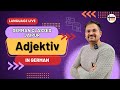 Adjectives in german  german grammar a1a2  language live  german classes jaipur