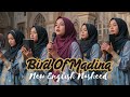 New English Nasheed | Bird Of Madina | Meherin Studio