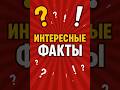 Пингвины узнают друг друга по голосу