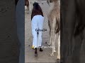 Balik Mo Ky Baba Pantalon Niya Ya 