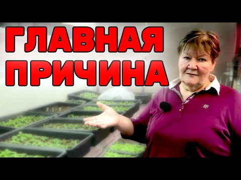 Петунии 2022: Почему СИДЯТ и не растут! Главная причина!