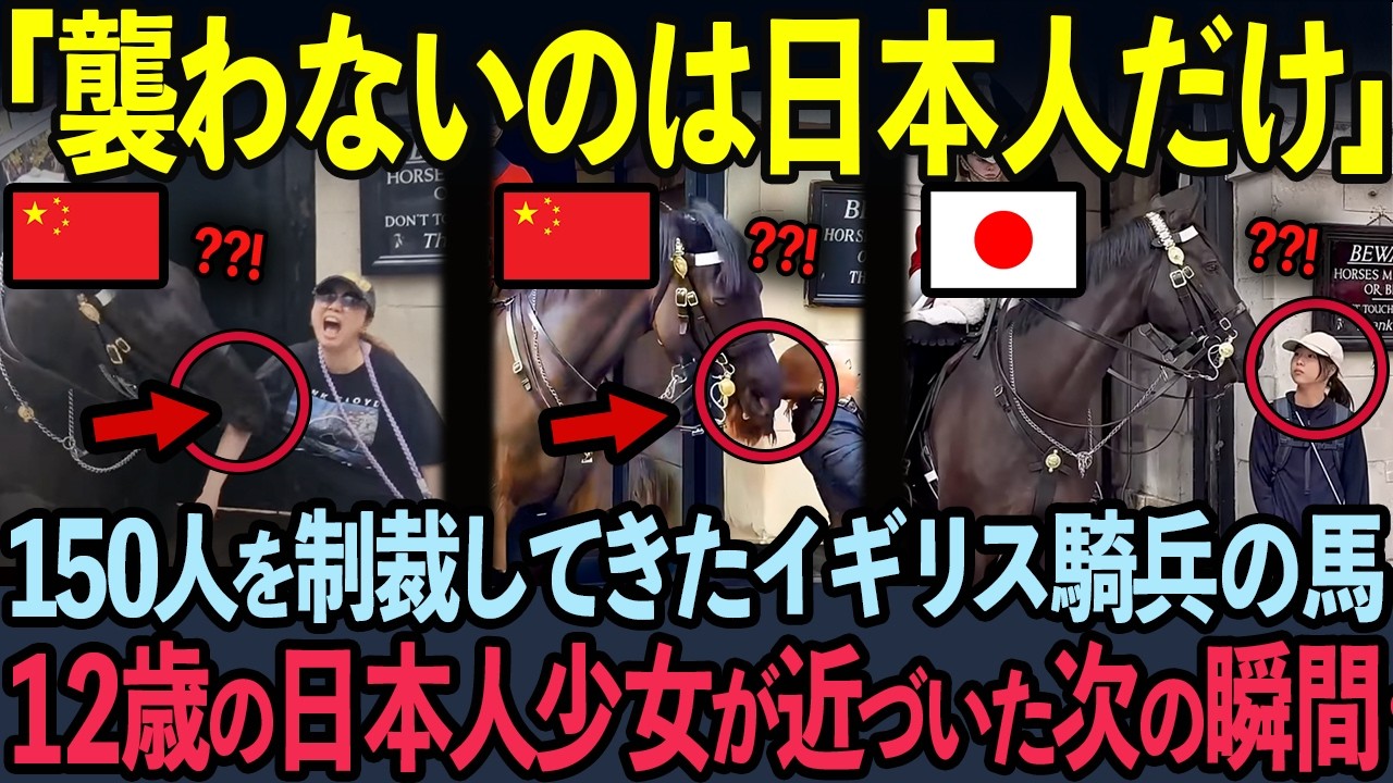 【海外の反応】イギリス情報番組でスタジオ観客が大爆笑した5秒後…イギリス騎兵隊の馬の日本人への衝撃の対応とは？
