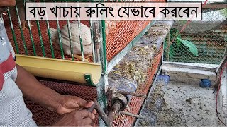 বড় খাচায় যেভাবে রুলিং করবেন