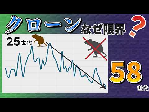 【最新研究2026】哺乳類はクローンだけで増え続けられるのか？20年の研究で見えた限界🐁 #たかとー研究室