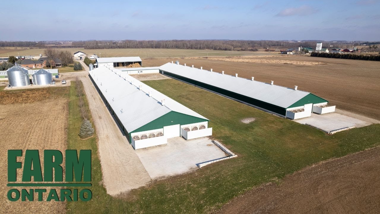 323962 Mount Elgin Road, Mount Elgin ON Farms For Sale In Ontario YouTube